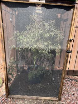 Chameleon Cage Everything Included