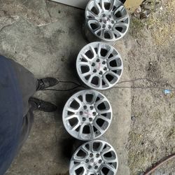 GMC RIMS