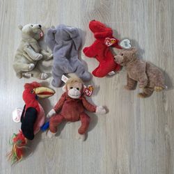 6 TY Beanie Babies Original Tag Bears Dog Orangutan Koala Hornbill