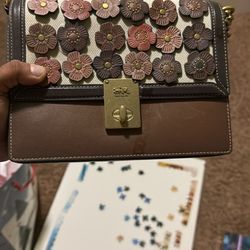 Coach Floral Brown Crossbody 