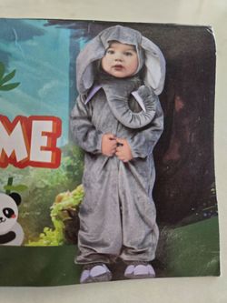 Baby Elephant