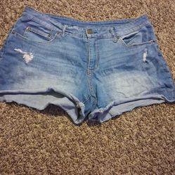 Women's shorts