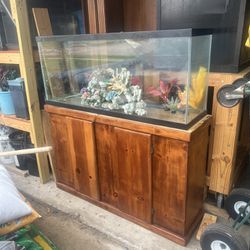 55 Gallon Tank With Stand (48/21/w12)