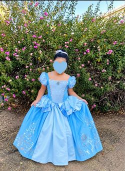 Cinderella Costume Dress