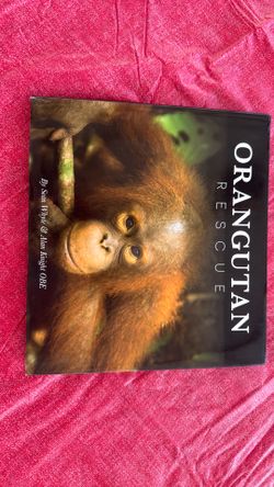 Orangutan  Rescue