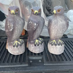 Hawk Decoy Bird Be Gone