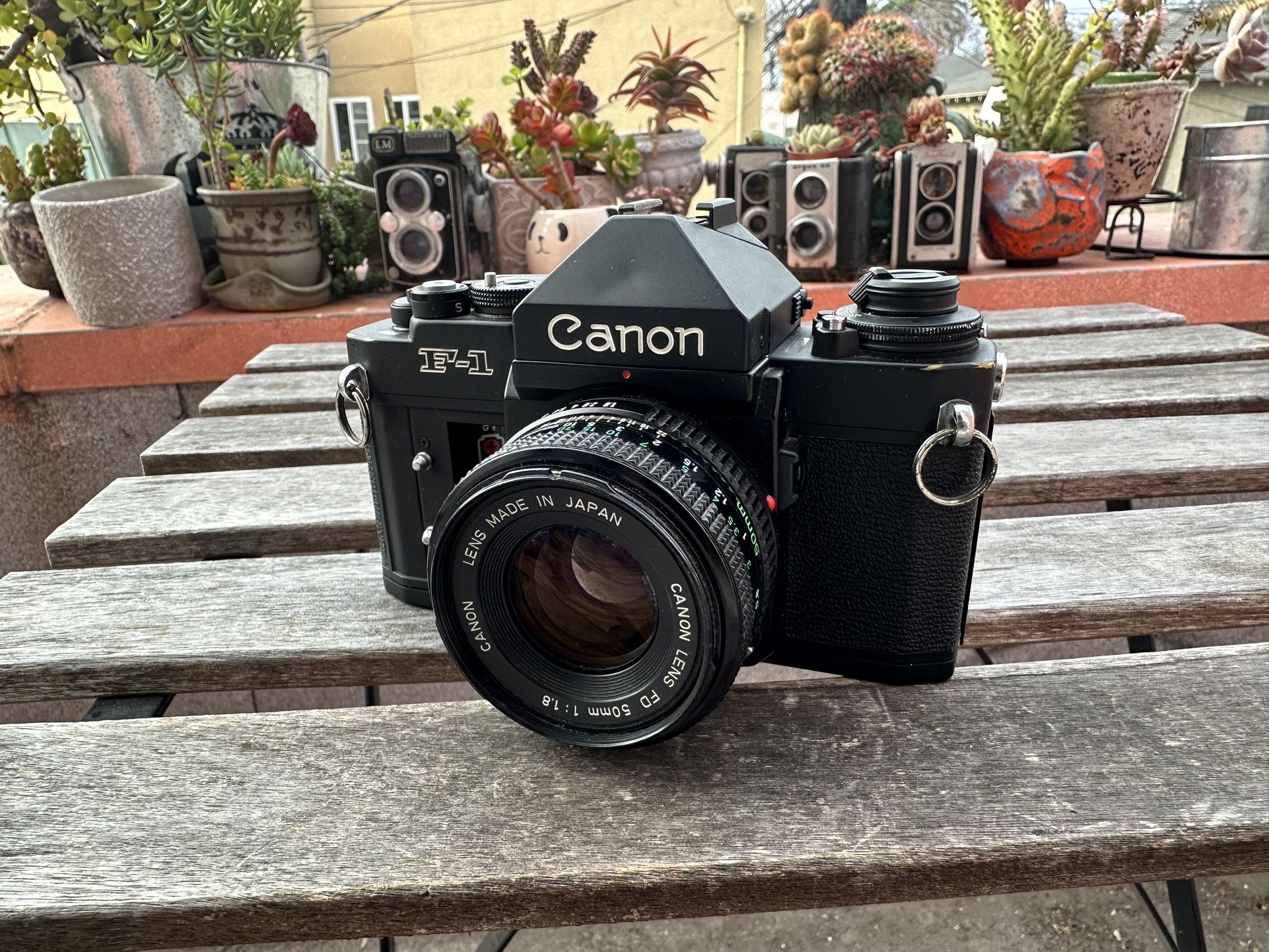 Canon F1 New