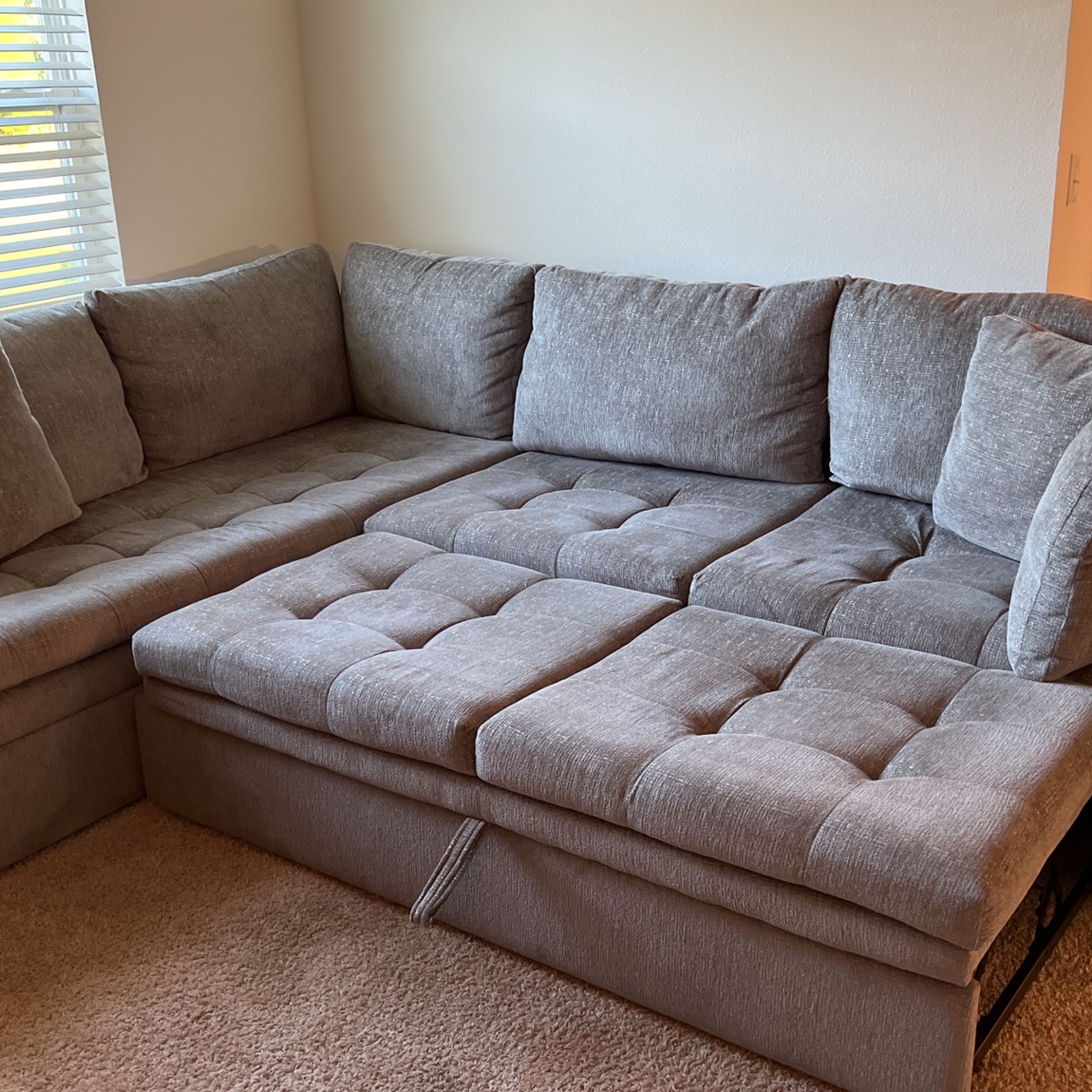 Sectional And Sleeper
