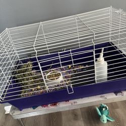 Animal Cage