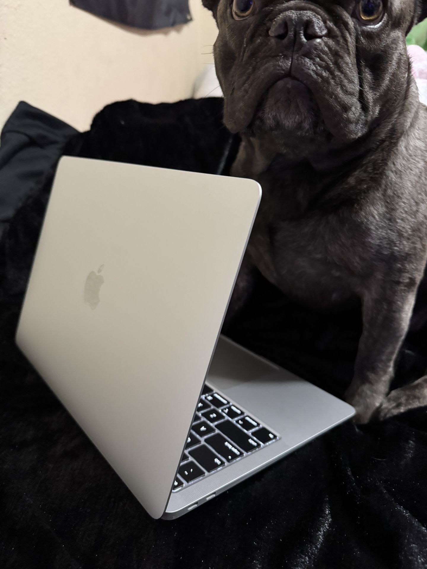 MacBook Air 2020