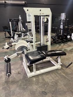 Pro maxima hamstring curl