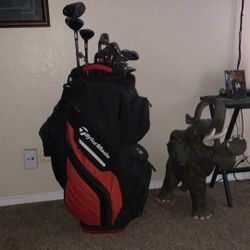 Taylor Made Golf Clubs Bag