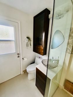 Glass shower enclosure and sink