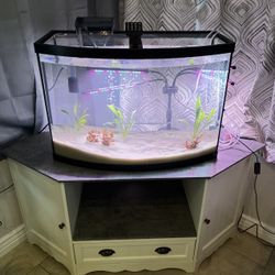 Bow Front Fish Tank 
