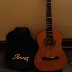 Ibanez Guitar