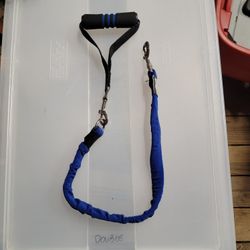 Bungee Leash 