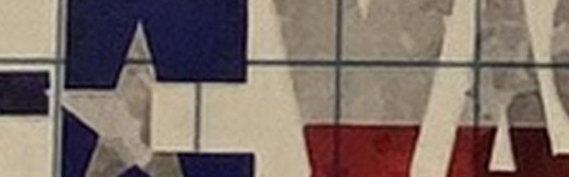 Texas Typographic Decal