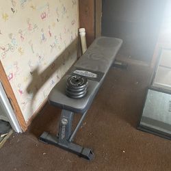 Work Out Bench 
