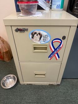 2 drawer FireSafe brand safes