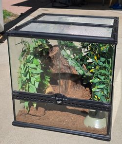 Terrarium