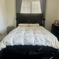 Queen Headboard/Frame