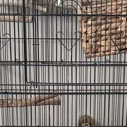 Cage For Sale