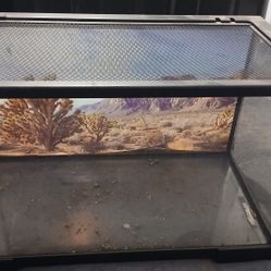 10 gallon reptile tank
