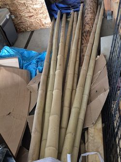 2-3" Thick Bamboo Poles 10'