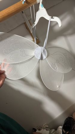Wings Costume For An Angel
