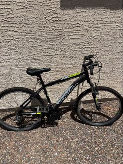 Schwinn perfect condition !