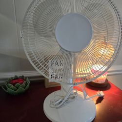 Oscillating Fan 12 In