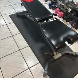 Bowflex Weight Lifting Bench