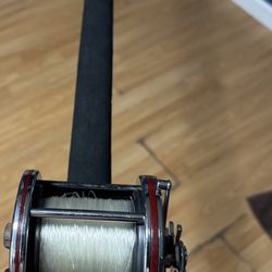 Penn 3/0 And Berkley Fishing Rod 