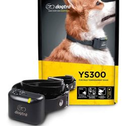 No bark collar 