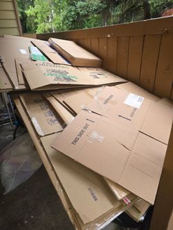 Cardboard boxes