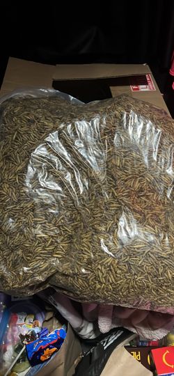 In Wasco- 25 pound bag, dried chicken worms