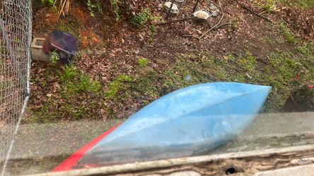 Kayak
