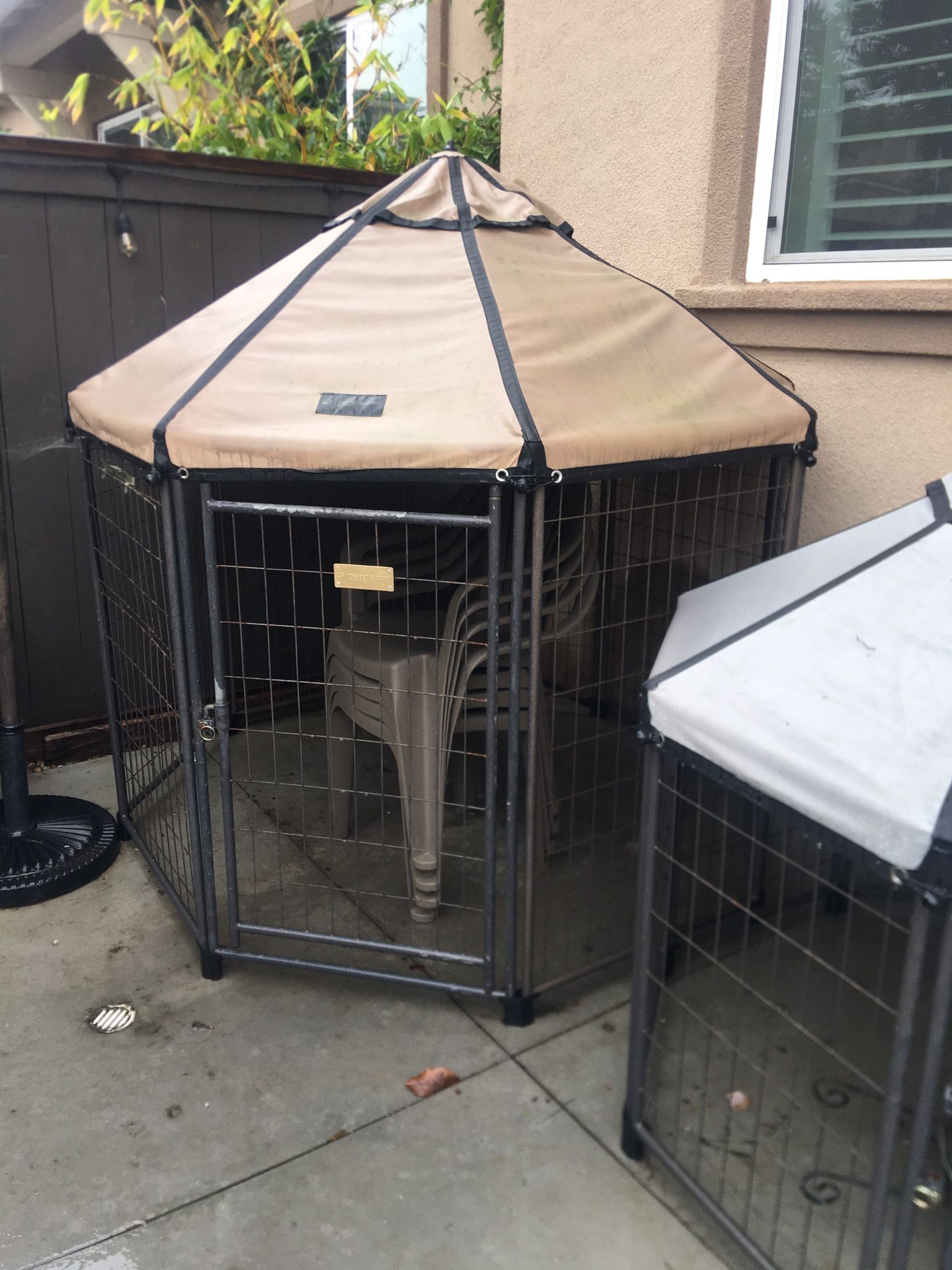 Pet Gazebo