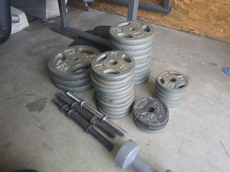 Variety Of Weight Plates & Workout Equipment 