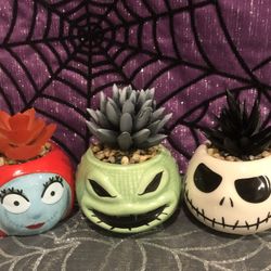 Nightmare Before Christmas Mini Succulents