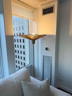 CB2 Emile Rattan & Polished Brass Floor Lamp by Hettler Tullmann