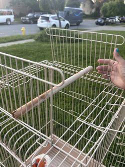 Bird cage and supplies