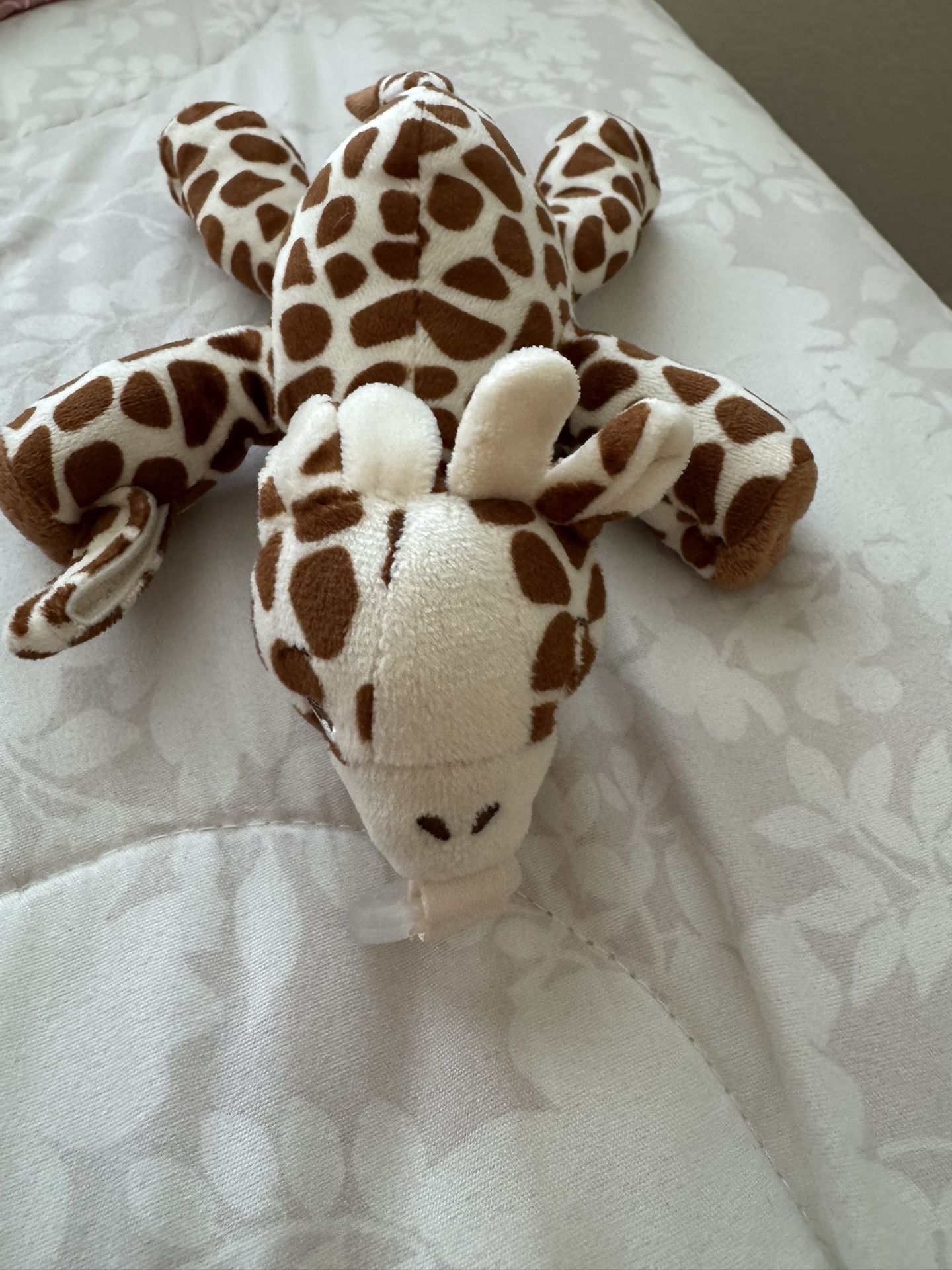 Avent Pacifier Holder