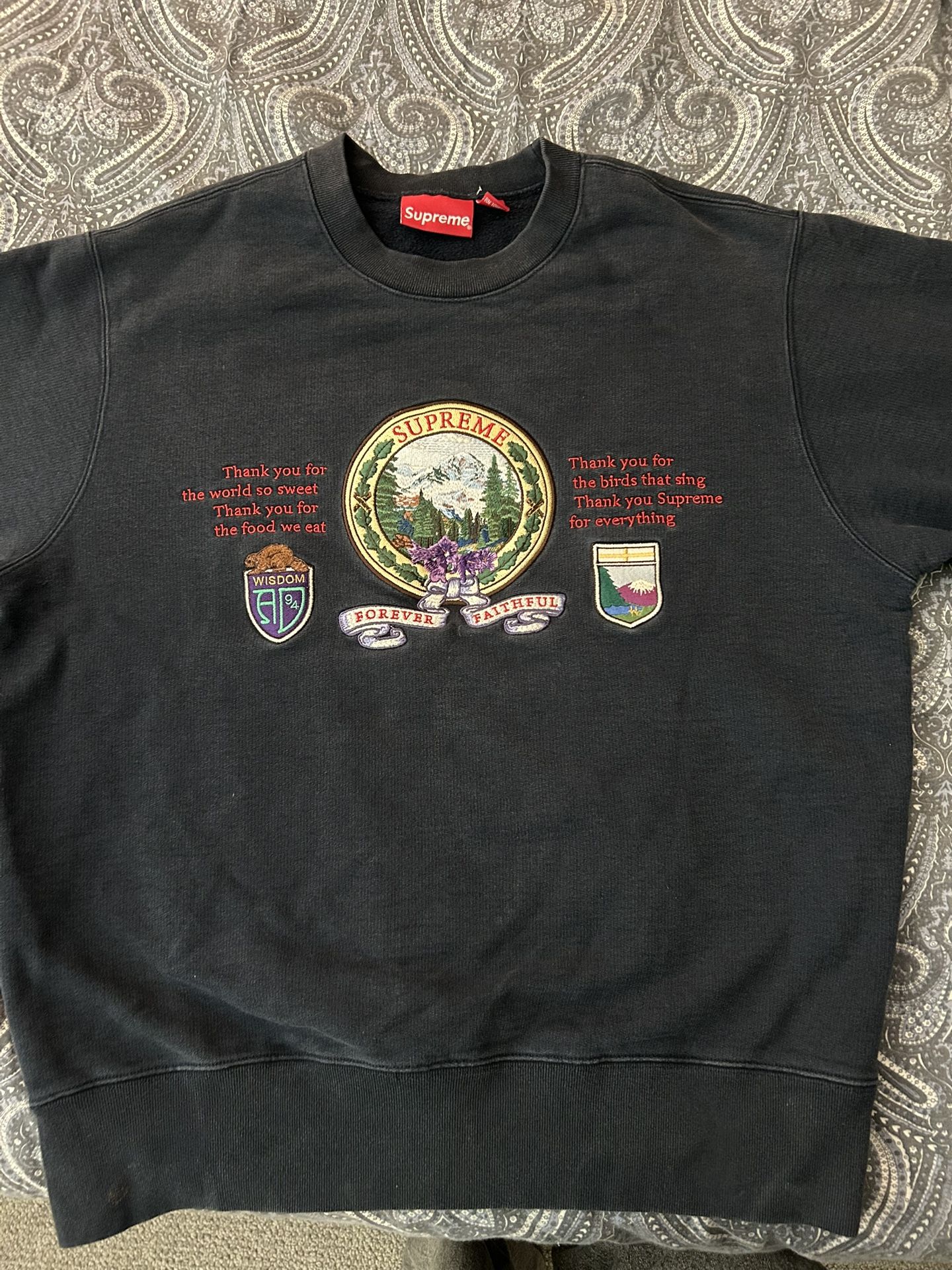 Supreme Mountain Crewneck Size: M 