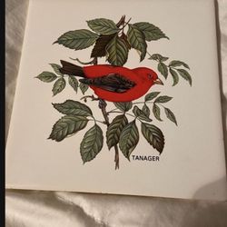 Hyalyn 6" Ceramic Trivet 505 Tanager Bird