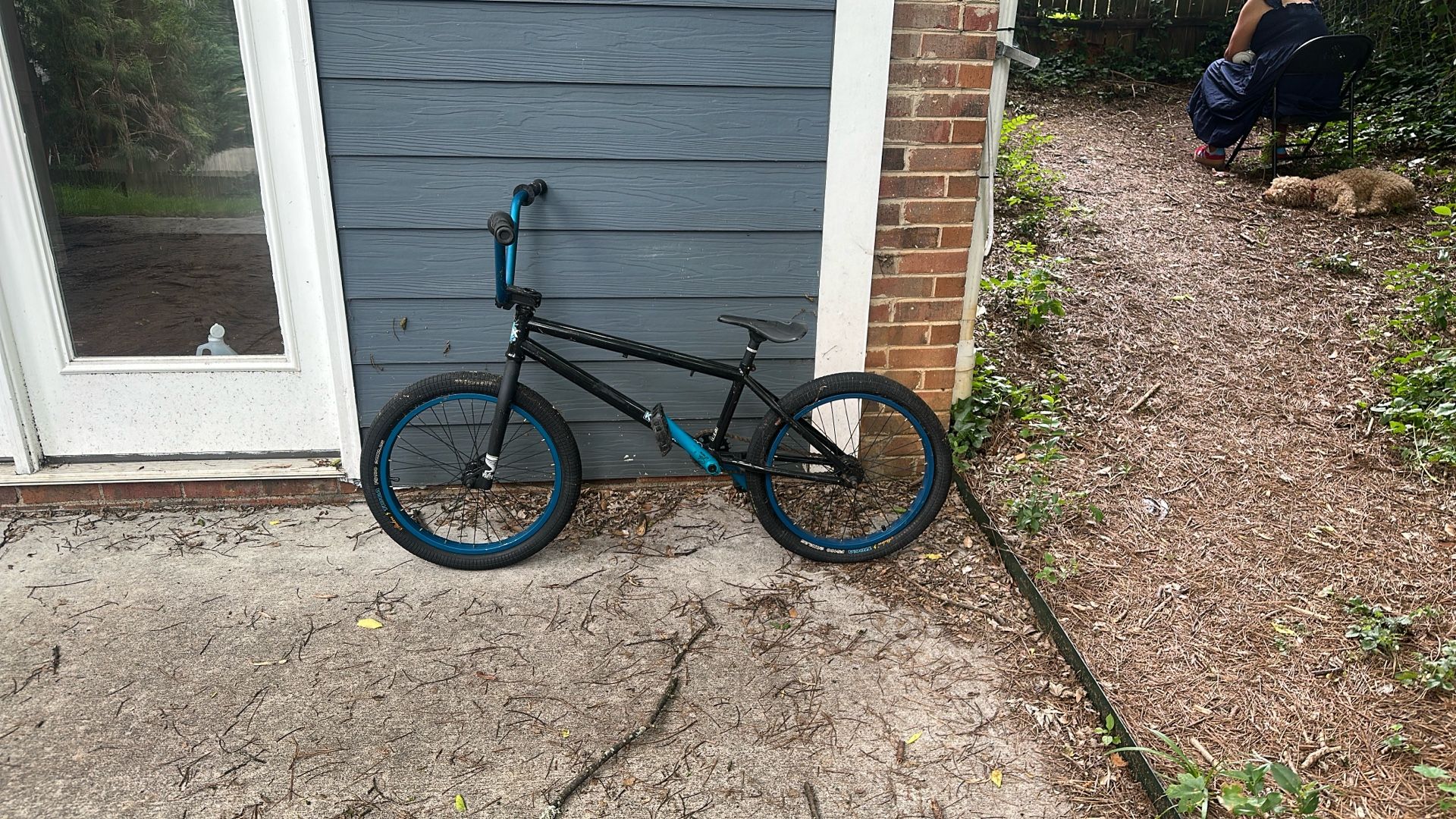 For Sale: Kink Curb BMX Bike - Perfect for Young Riders! Only $130 - Priced to Sell!