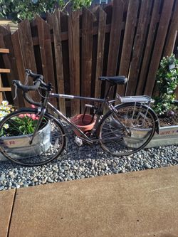 Torker Interurban Commuter Bike
