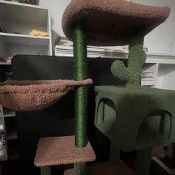 Cactus Style Cat Tree With House @Palm Desert