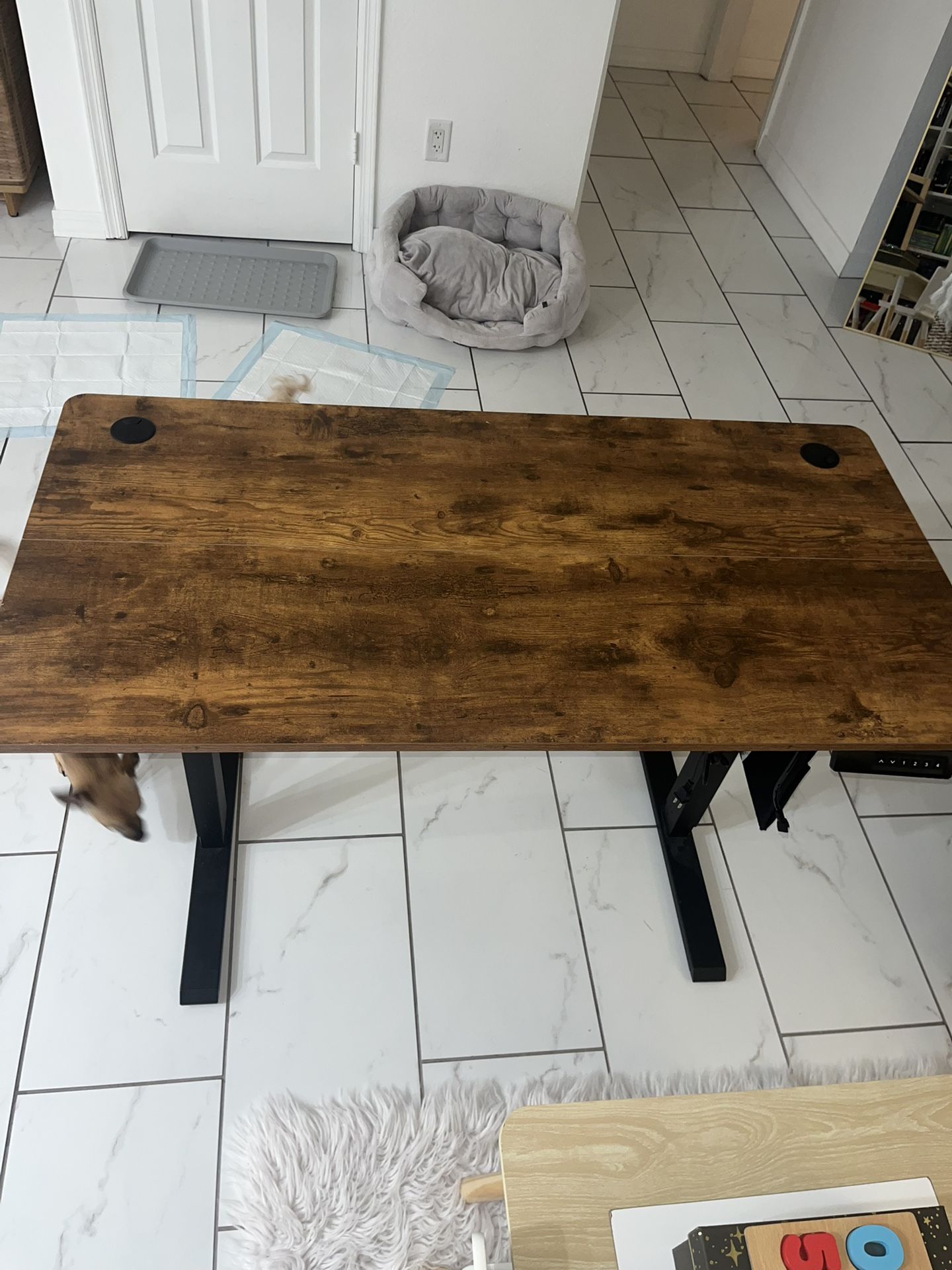 Electronic Standing Desk