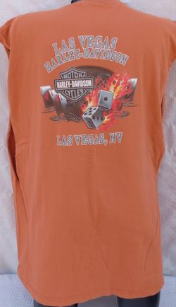 2 Harley Davidson Shirts
